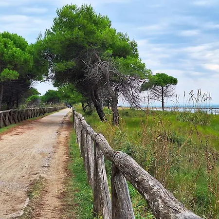 Relaxing Flat Just 50 Meters From The